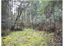 Lt 28 Pat Burns Ave - Image 1