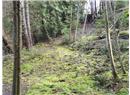 Lt 28 Pat Burns Ave - Image 11