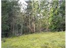Lt 28 Pat Burns Ave - Image 12