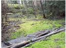 Lt 28 Pat Burns Ave - Image 3