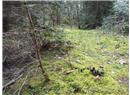 Lt 28 Pat Burns Ave - Image 4