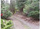 Lt 28 Pat Burns Ave - Image 6