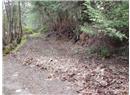 Lt 28 Pat Burns Ave - Image 7