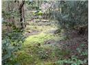Lt 28 Pat Burns Ave - Image 9