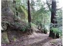 Lt 79 Harrison Way - Image 10