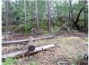Lt 79 Harrison Way - Image 4