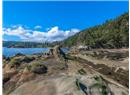 1180 Berry Point Road - Image 29