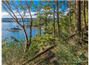 1180 Berry Point Road - Image 50