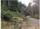 Lt B Coast Road - Image 6