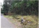 Lt B Coast Road - Image 7