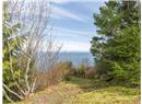 2390 Jolly Brothers Road - Image 39
