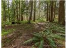 2390 Jolly Brothers Road - Image 44