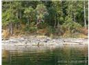 Lt 31 Ruxton Island - Image 1