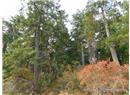 Lt 31 Ruxton Island - Image 10