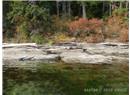 Lt 31 Ruxton Island - Image 16
