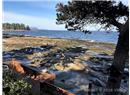 532 Berry Point Road - Image 7