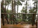 281 Sockeye Drive - Image 1