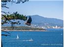 967 Canso Road - Image 62