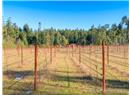 1420 Hess Road - Image 41
