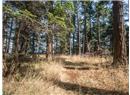 Lot 4 Hyham Road - Image 10