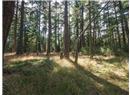 Lot 4 Hyham Road - Image 11