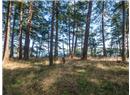 Lot 4 Hyham Road - Image 12