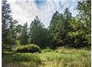Lot 4 Hyham Road - Image 14