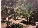2690 Kevan Drive - Image 27