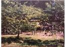 2690 Kevan Drive - Image 28