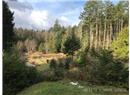 2690 Kevan Drive - Image 7