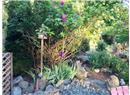 2585 Blueback Drive - Image 9