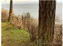 Lt 2 Blue Whale Lookout - Image 2