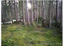 1520 Wild Cherry Terrace - Image 2