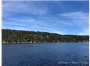 432 Coho Blvd - Image 3
