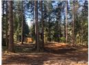 Lt 101 Hemlock Ave - Image 2