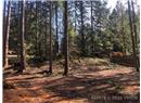 Lt 101 Hemlock Ave - Image 6