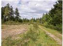 2420 South Road - Image 16
