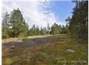 2420 South Road - Image 19