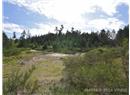2420 South Road - Image 20