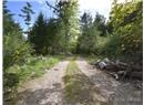 2420 South Road - Image 21