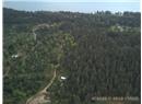 2420 South Road - Image 3