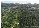 2420 South Road - Image 51