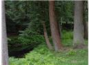 605 Wildwood Cres - Image 37