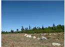 Lt 6 Fawn Place - Image 1