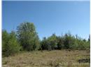 Lt 6 Fawn Place - Image 10