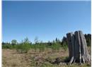 Lt 6 Fawn Place - Image 2