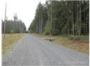 Lt 6 Fawn Place - Image 4