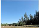 Lt 6 Fawn Place - Image 6