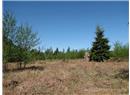 Lt 6 Fawn Place - Image 9