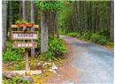 1215 Barrett Road - Image 79